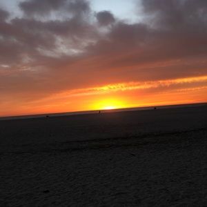 Meet your Posher, Brittney